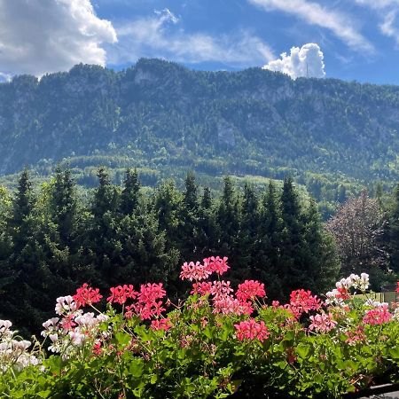 Ferienwohnung Mit Seeblick, Unterach Am Attersse Unterach am Attersee Eksteriør billede
