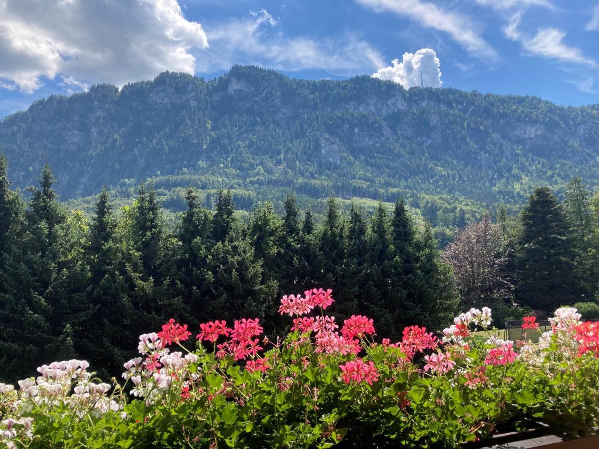 Ferienwohnung Mit Seeblick, Unterach Am Attersse Unterach am Attersee Eksteriør billede